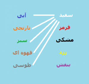 سیم و کابل امین 