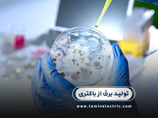 تولید برق از باکتری