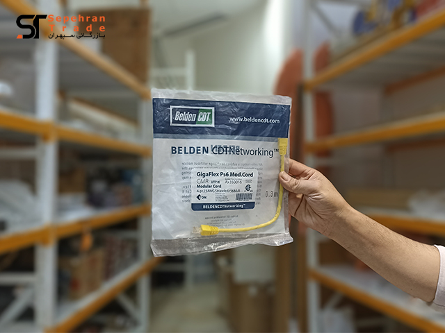 کابل شبکه لن lan سایز ۳۰ سانتی متر بلدن